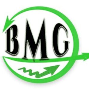 Photo de Profil de CONSULTING BMG2